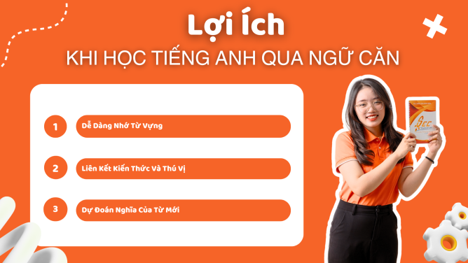 ngu can 1