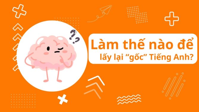 học lấy lại gốc tiếng anh