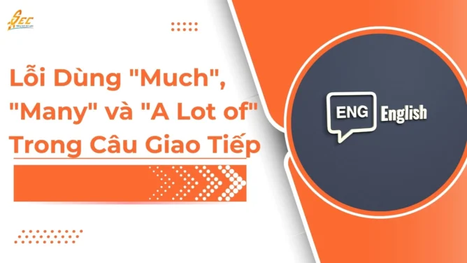 much many a lot of trong giao tiếp