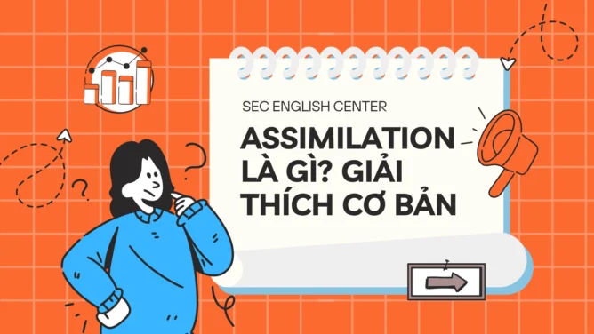 Assimilation