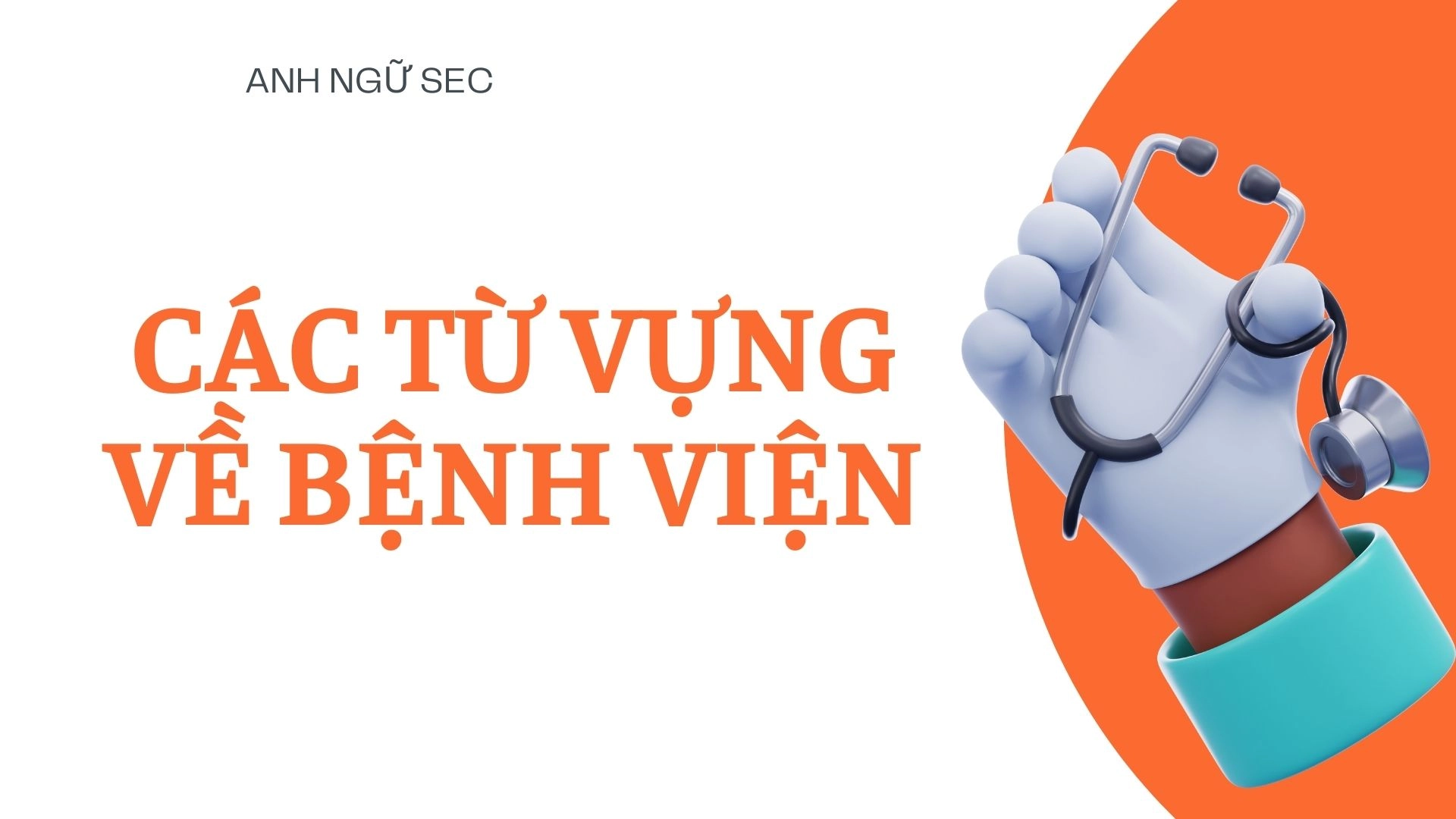 Các từ vựng về bệnh viện (hospital, doctor, nurse, treatment,..) 2026 1 Các từ vựng về bệnh viện