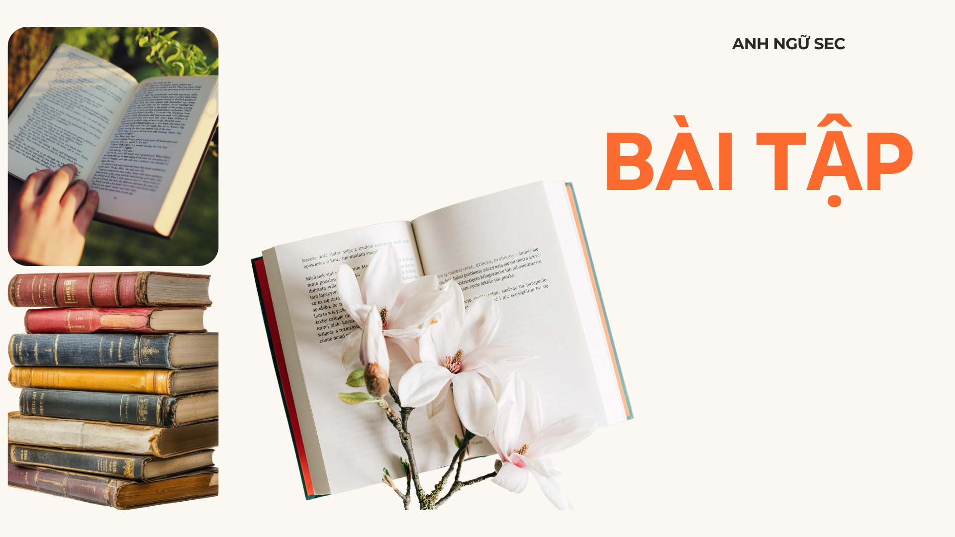 chủ điểm ngữ pháp cuối kì 2 Tiếng Anh 6