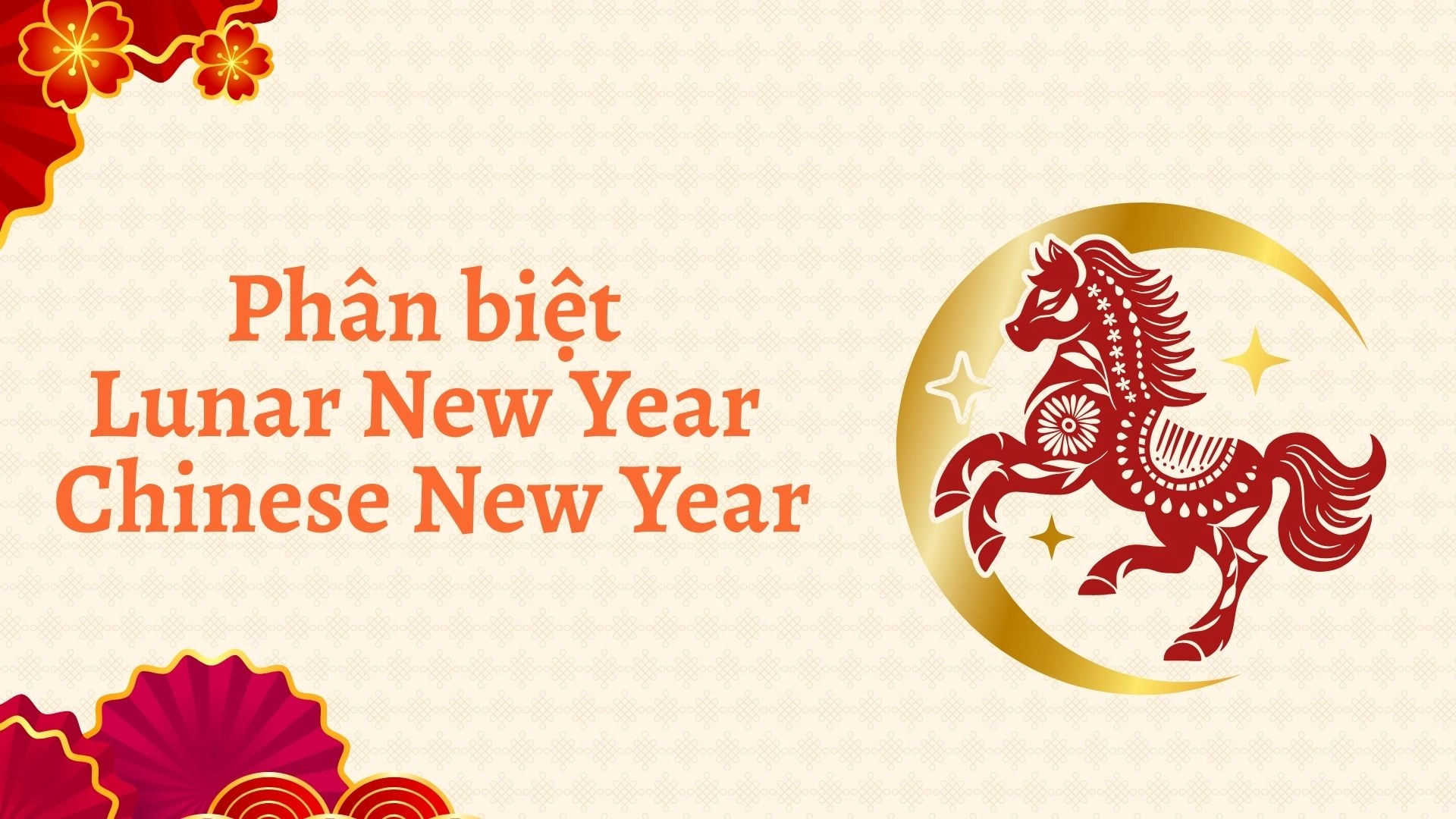 Tết Âm Lịch Tiếng Anh Là Gì?