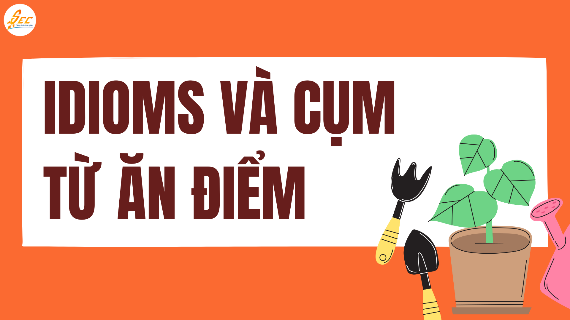 TỪ VỰNG VỀ SỞ THÍCH & HOẠT ĐỘNG GIẢI TRÍ 